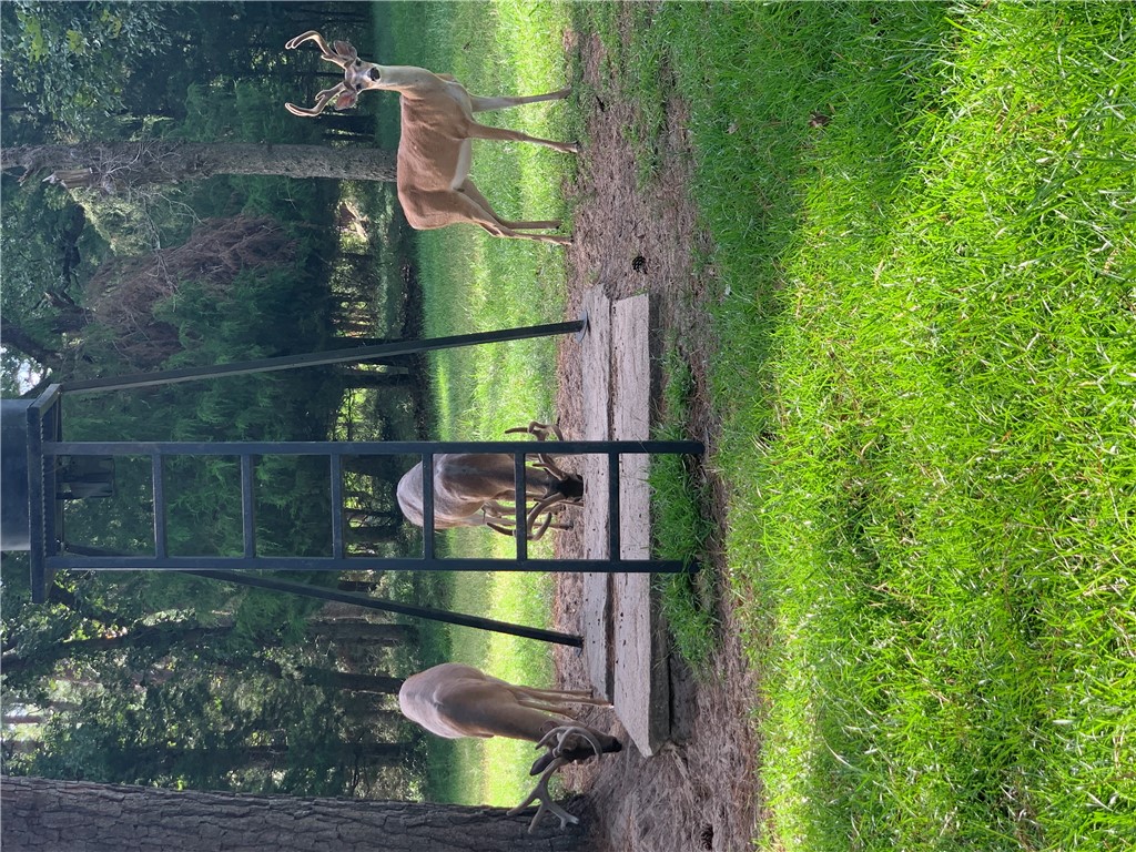 11092 Riley Green Road Franklin, TX 77856 - Photo 32 of 32 View of Yard