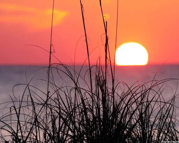 $410,000 | 350 Rosa Court, St. Augustine, FL 32086