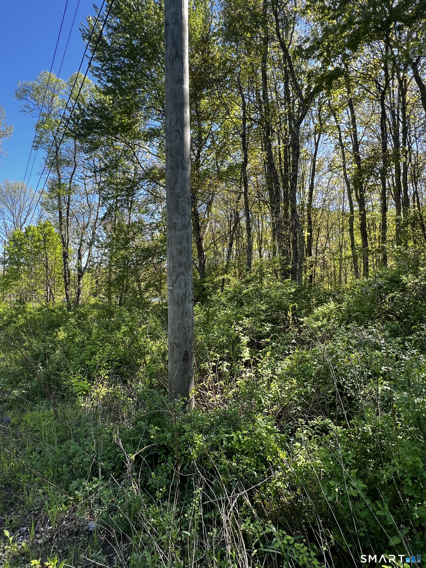 408 Martin Road Hebron, CT 06248 - Photo 6 of 6 a view of forest