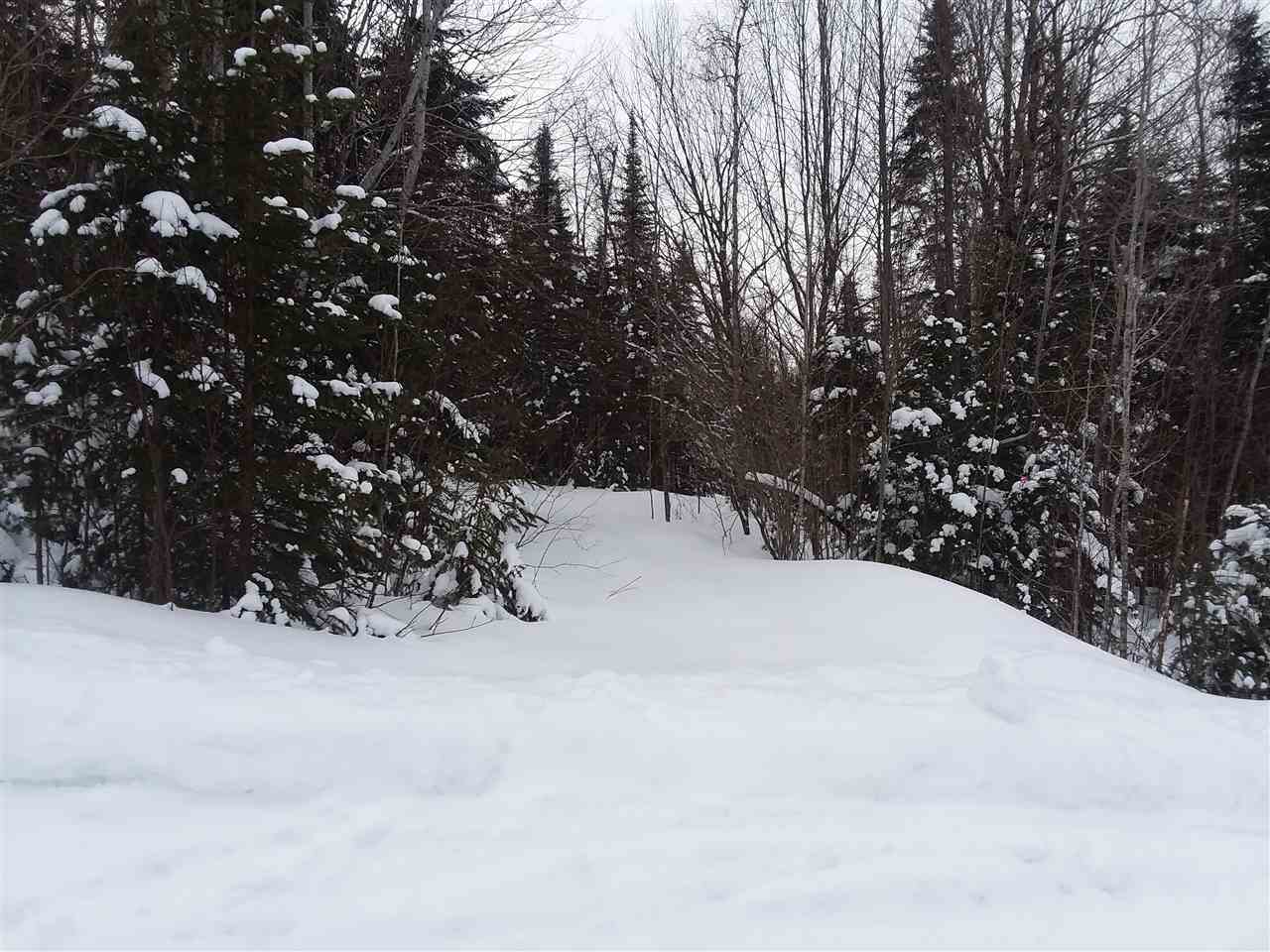 - Hutchinson Road Colebrook, NH 03576 - Photo 1 of 8