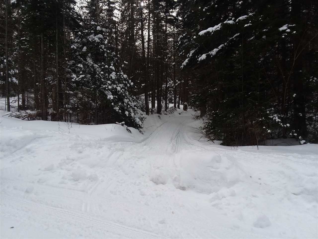 - Hutchinson Road Colebrook, NH 03576 - Photo 2 of 8