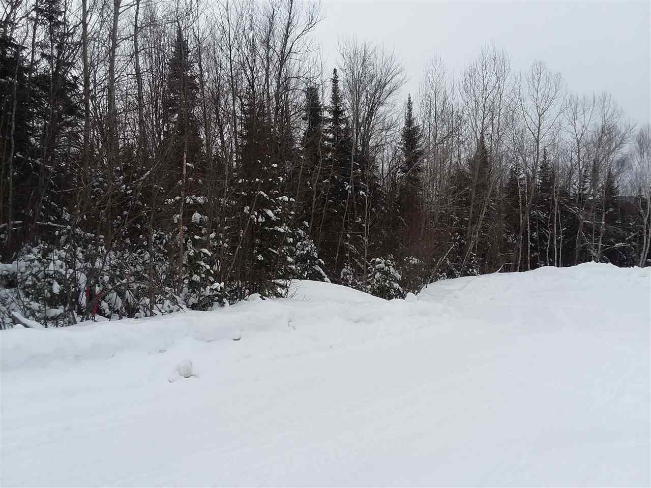 - Hutchinson Road Colebrook, NH 03576 - Photo 6 of 8
