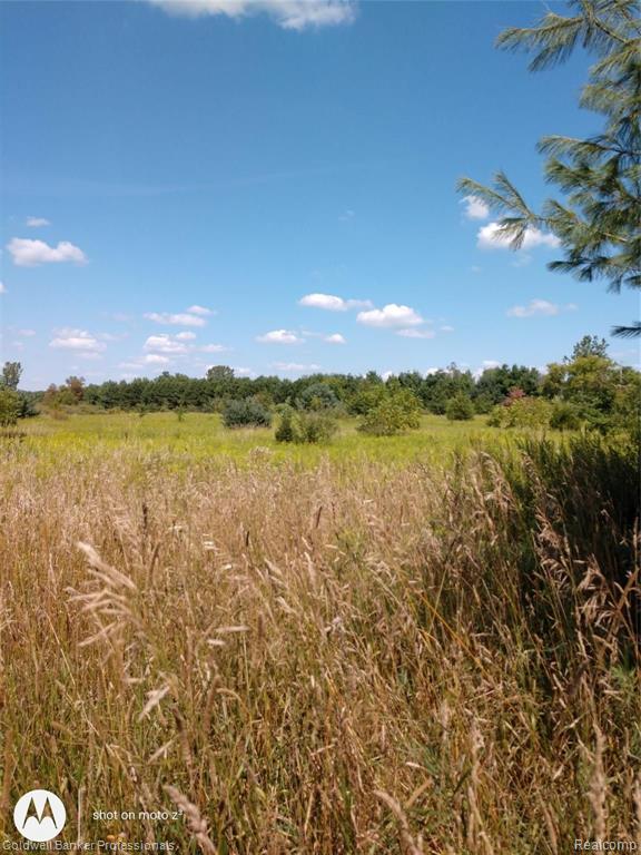Vl Quackenbush Road Reading, MI 49274 - Photo 3 of 6