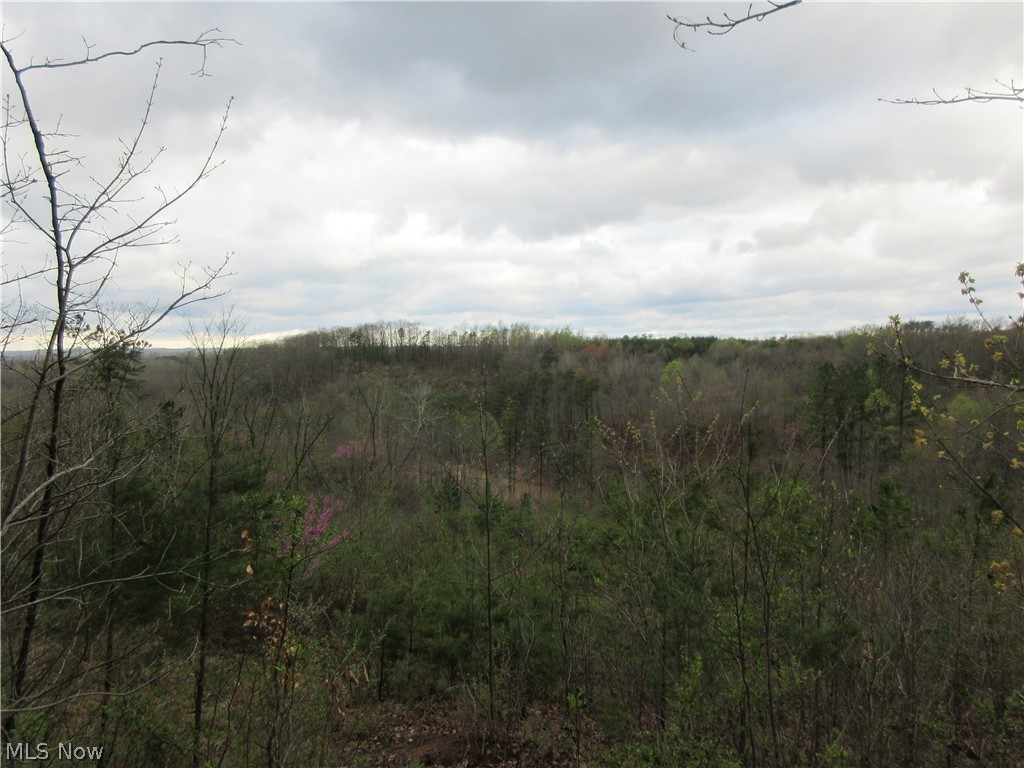 0 Coolville Road Reedsville, OH 45772 - Photo 3 of 9