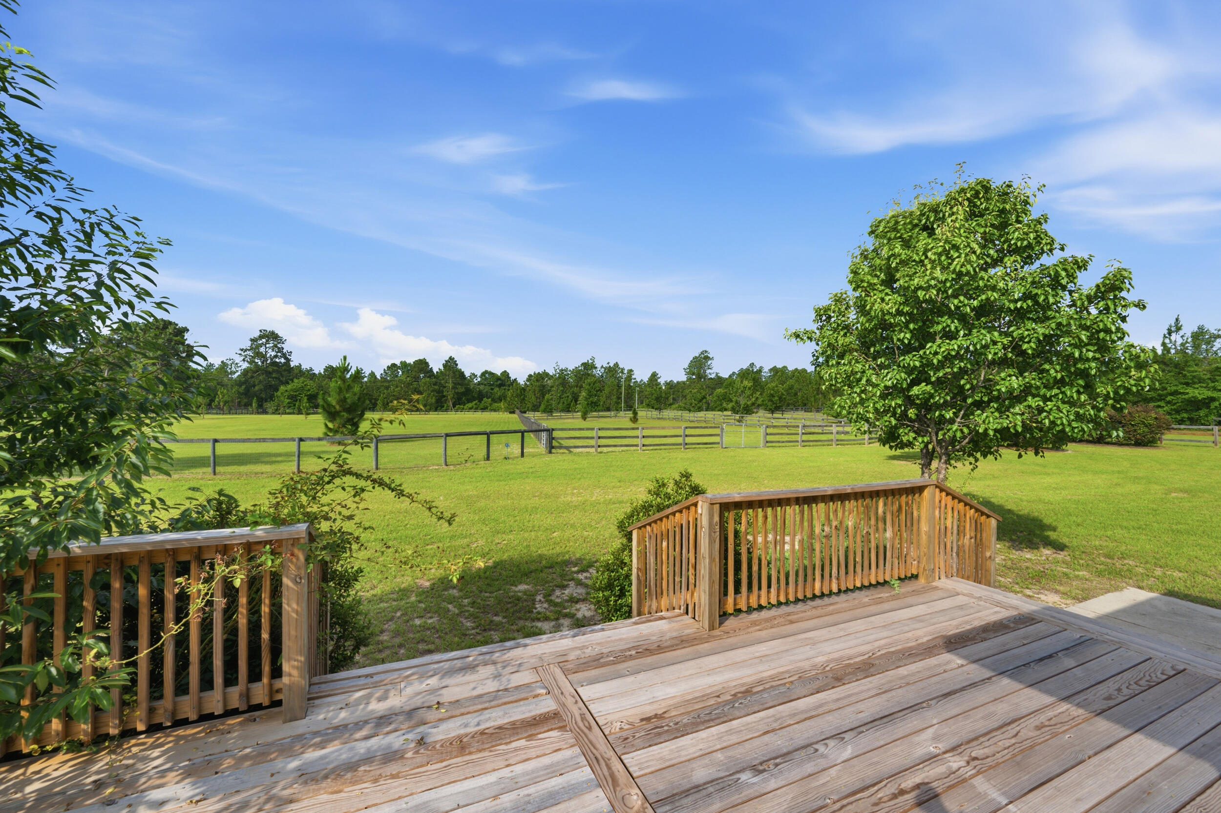 685 Centerwood Road Williston, SC 29853 - Photo 37 of 42