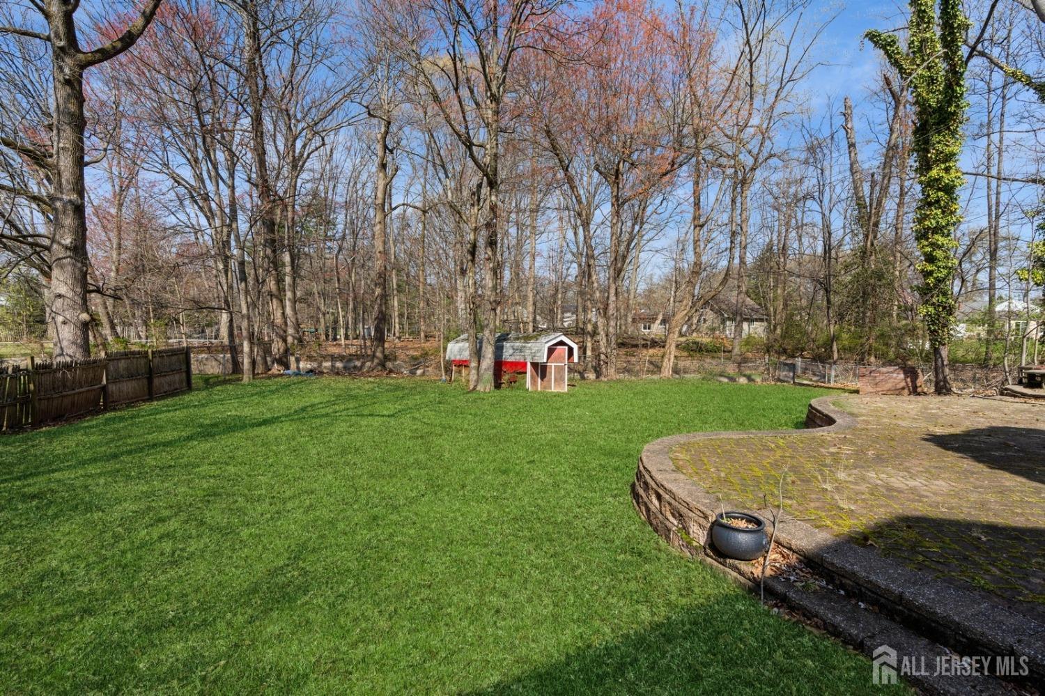 4 Stark Place Edison, NJ 08820 - Photo 3 of 12 a view of yard with tree s