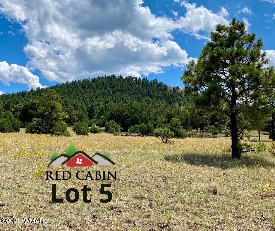 Lot 5 Red Cabin Ranch Vernon, AZ 85940 - Photo 1 of 22 Lot 5
