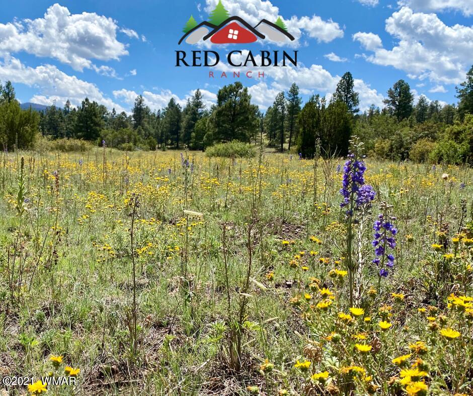 Lot 5 Red Cabin Ranch Vernon, AZ 85940 - Photo 19 of 22 Red Cabin Ranch