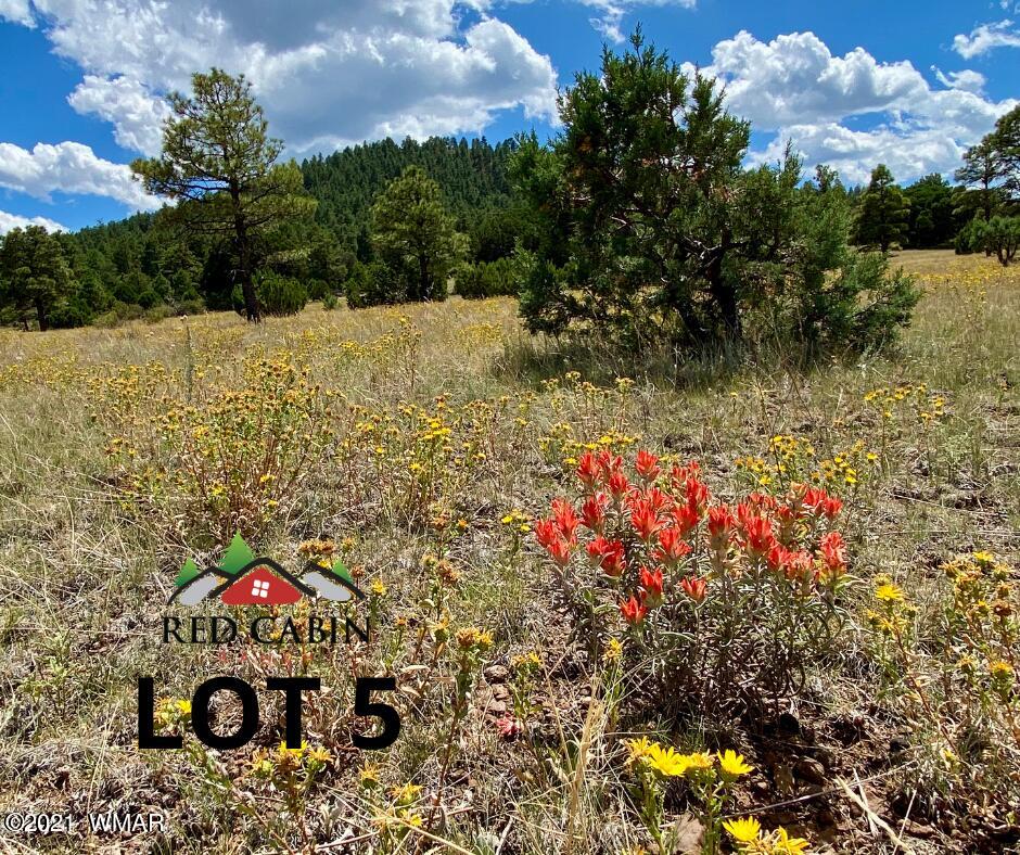 Lot 5 Red Cabin Ranch Vernon, AZ 85940 - Photo 6 of 22 Lot 5