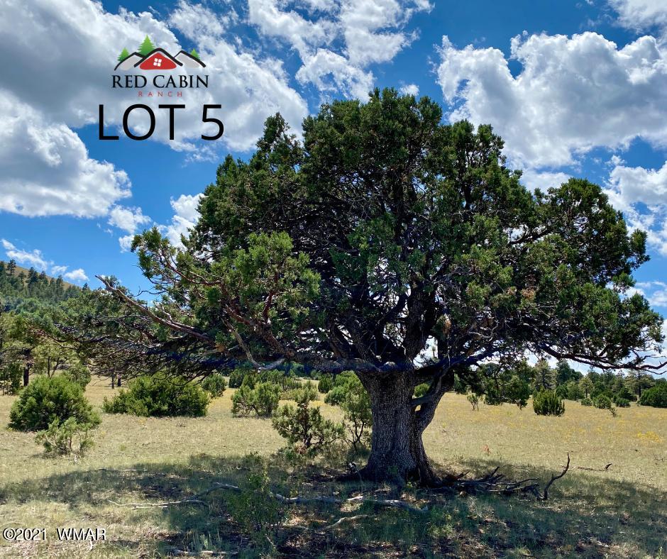 Lot 5 Red Cabin Ranch Vernon, AZ 85940 - Photo 8 of 22 Lot 5