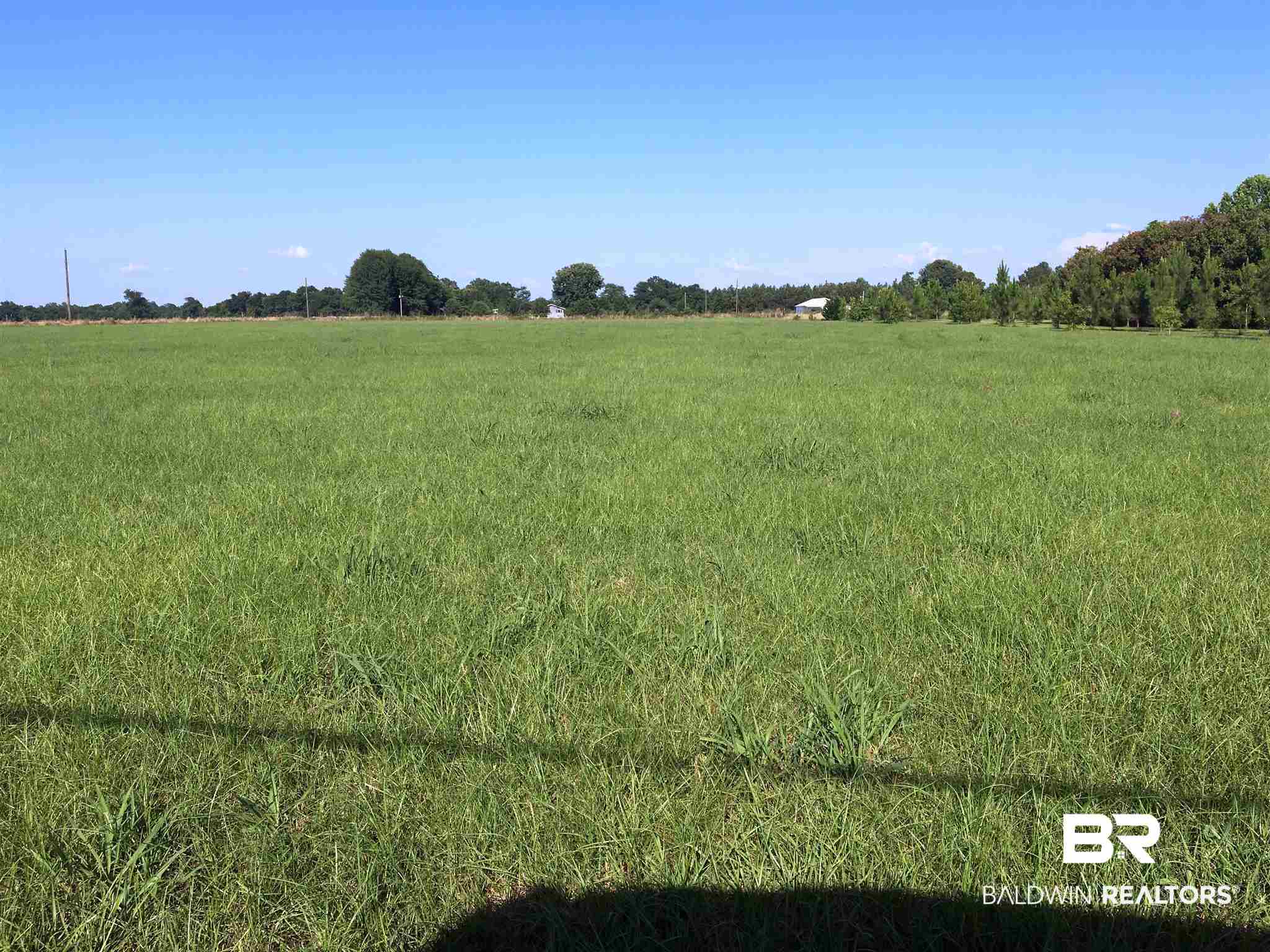 321 W Street Monroeville, AL 36460 - Photo 1 of 6