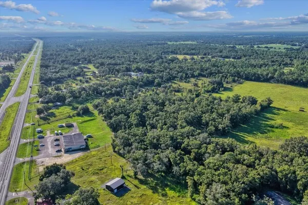 a view of a bunch of trees and bushes