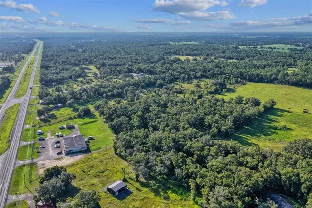 a view of a bunch of trees and bushes