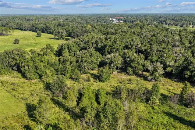 a view of outdoor space with green field and trees