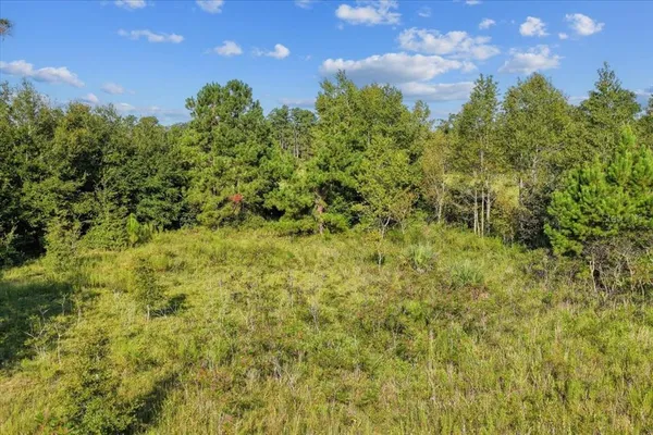 a view of a golf course with a lake view