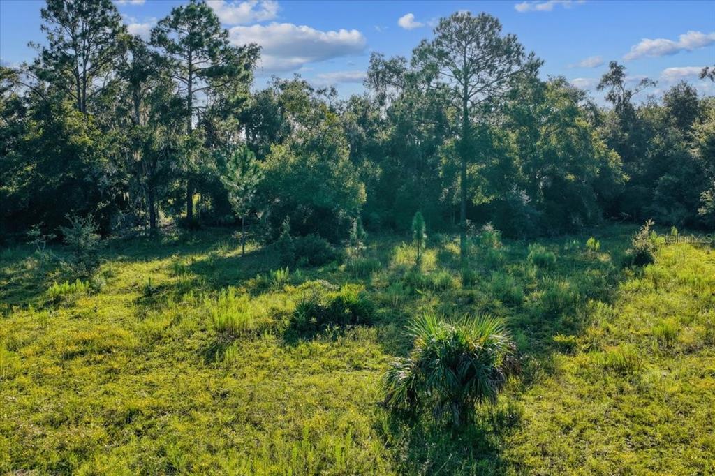 Ne Highway Bronson, FL 32621 - Photo 22 of 28