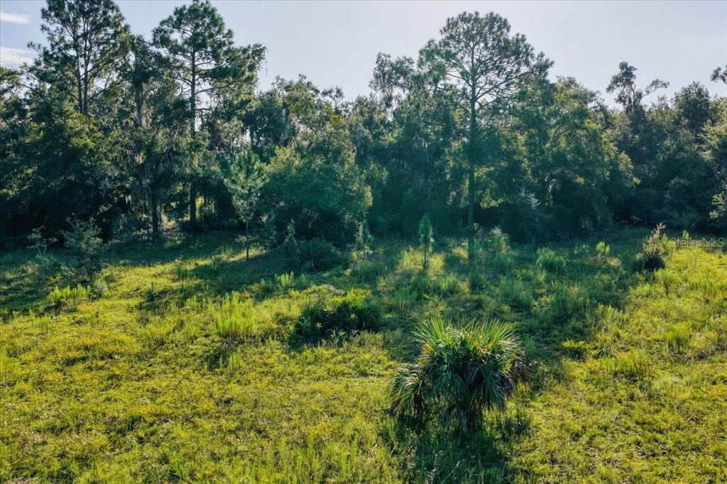 Ne Highway Bronson, FL 32621 - Photo 23 of 28 a view of outdoor space and a yard
