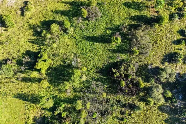 $300,000 | Ne Highway, Bronson, FL 32621