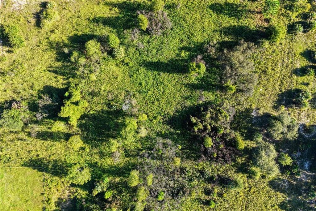 Ne Highway Bronson, FL 32621 - Photo 27 of 28 a view of a garden with plants