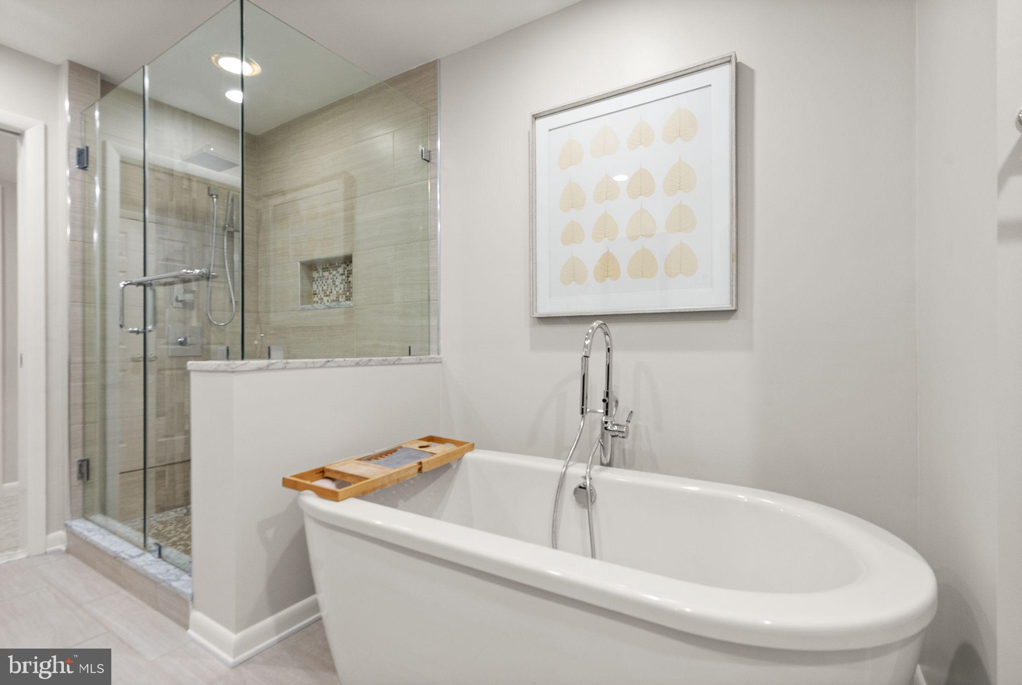 2510 Freetown Drive Reston, VA 20191 - Photo 28 of 50 Spa like features