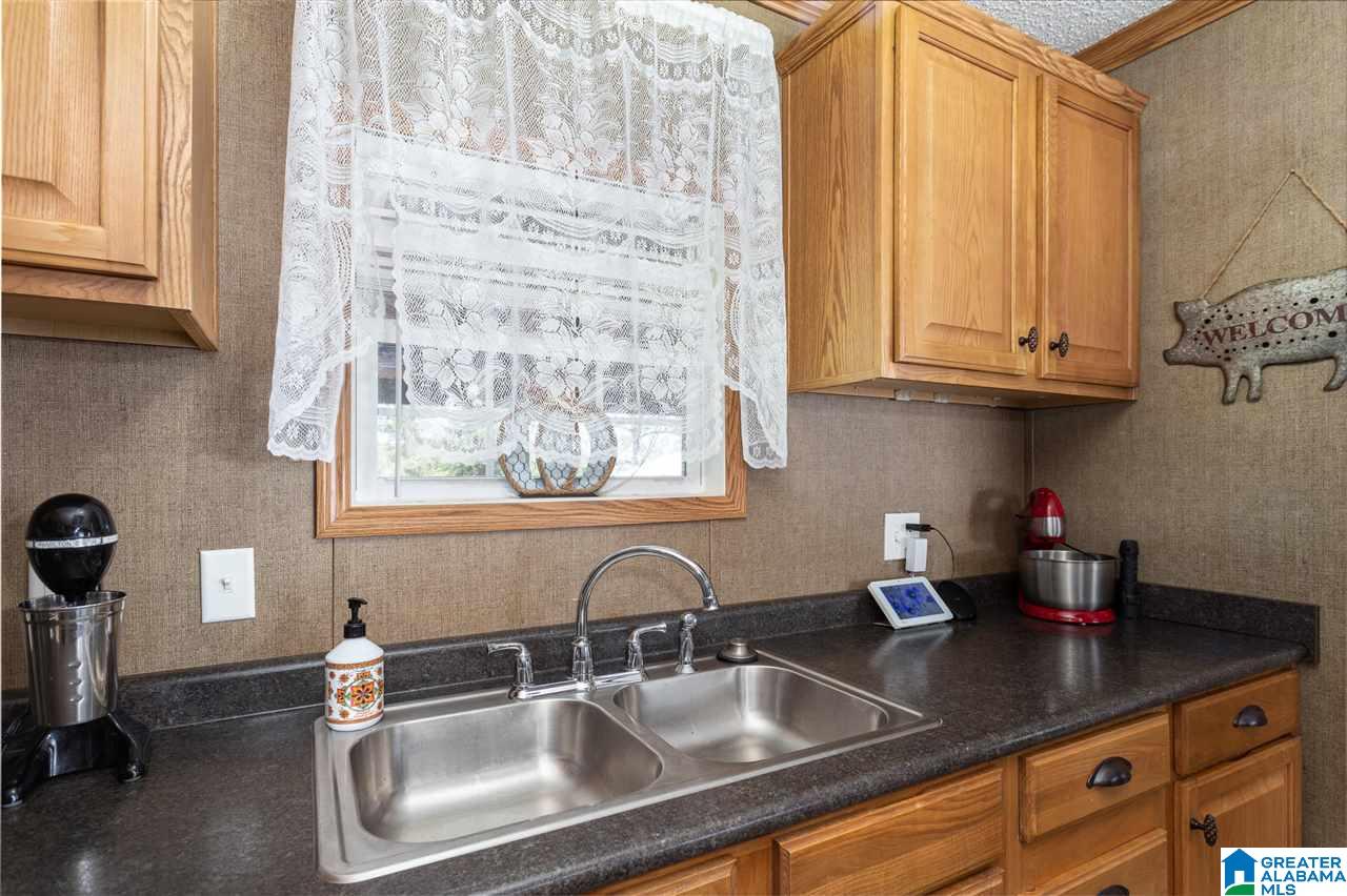 20 Memory Lane Ohatchee, AL 36271 - Photo 8 of 43