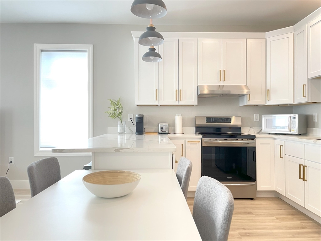 53 1/2 Harvard Street, Unit 2 Boston, MA 02124 - Photo 2 of 16