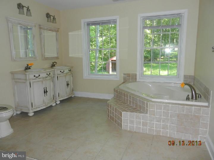 3716 Windy Bush Road New Hope, PA 18938 - Photo 7 of 14 Master Bathroom
