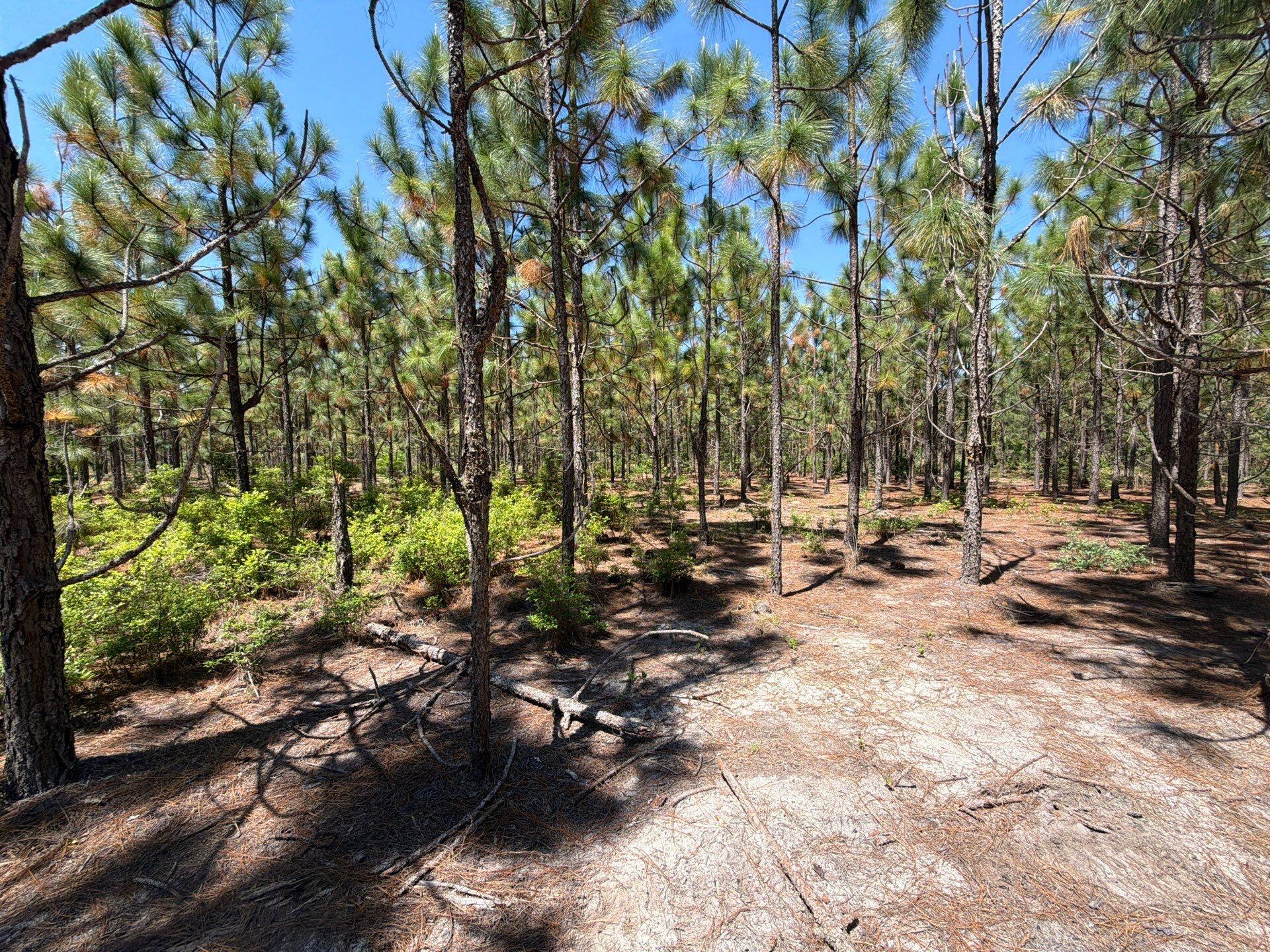 6 Holstein Road, Unit HRF 6 Wagener, SC 29164 - Photo 14 of 18 Gallery Image 14