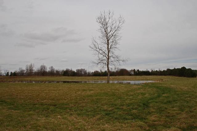 1600 Pontius Road Circleville, OH 43113 - Photo 58 of 59