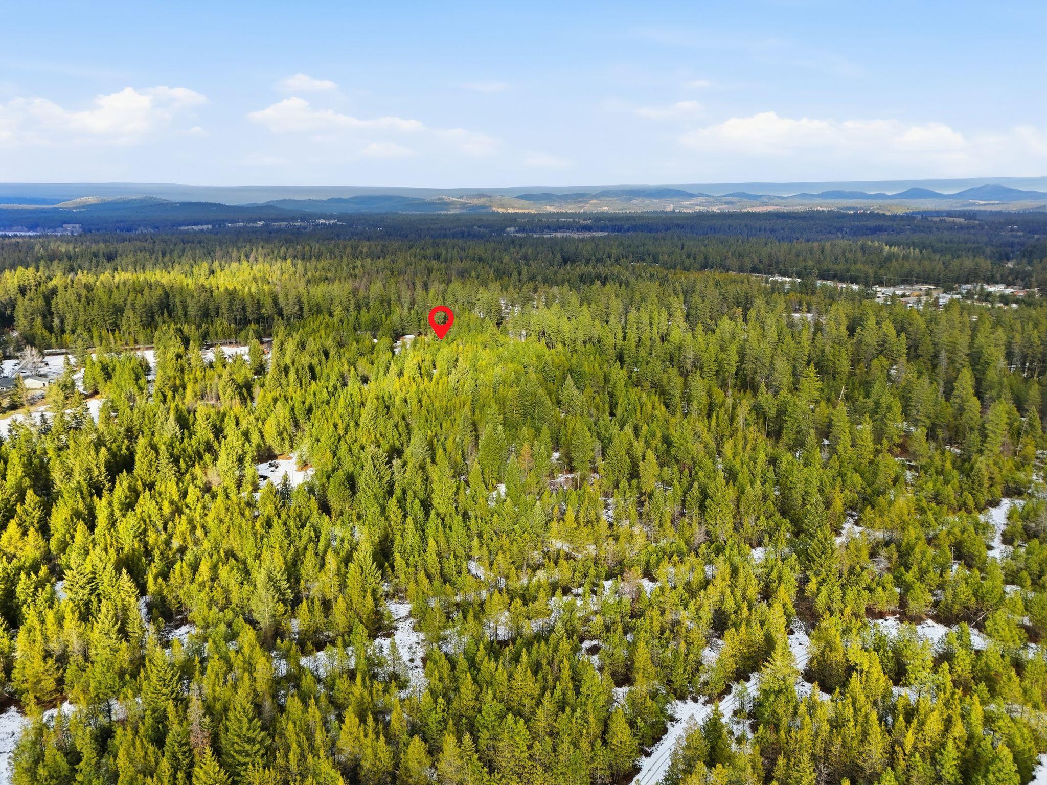 3812 East Bailey Road Chattaroy, WA 99003 - Photo 42 of 42