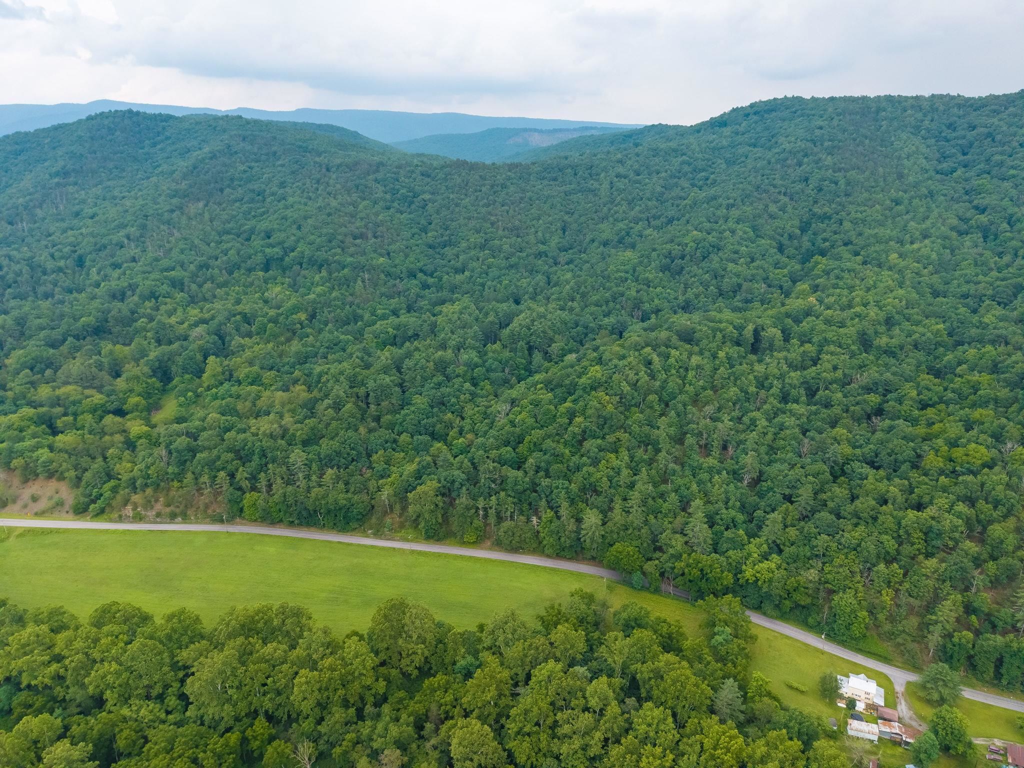 Tbd Criders Road Bergton, VA 22811 - Photo 18 of 22