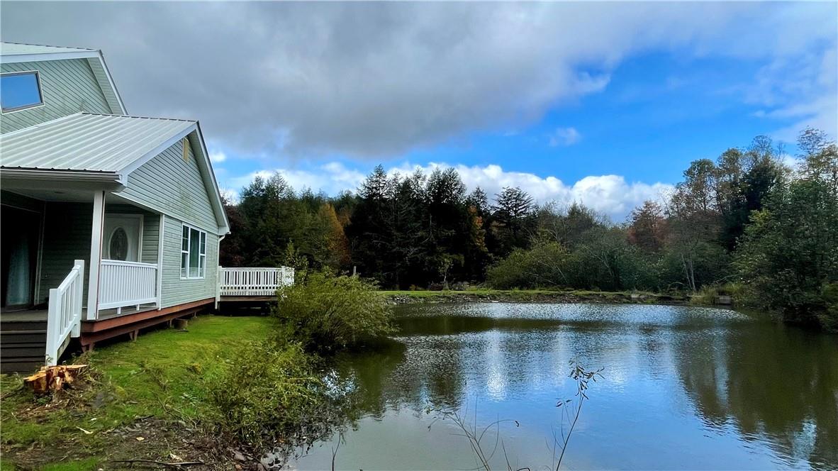 141 Bonnie Brook Road Roscoe, NY 12776 - Photo 10 of 48