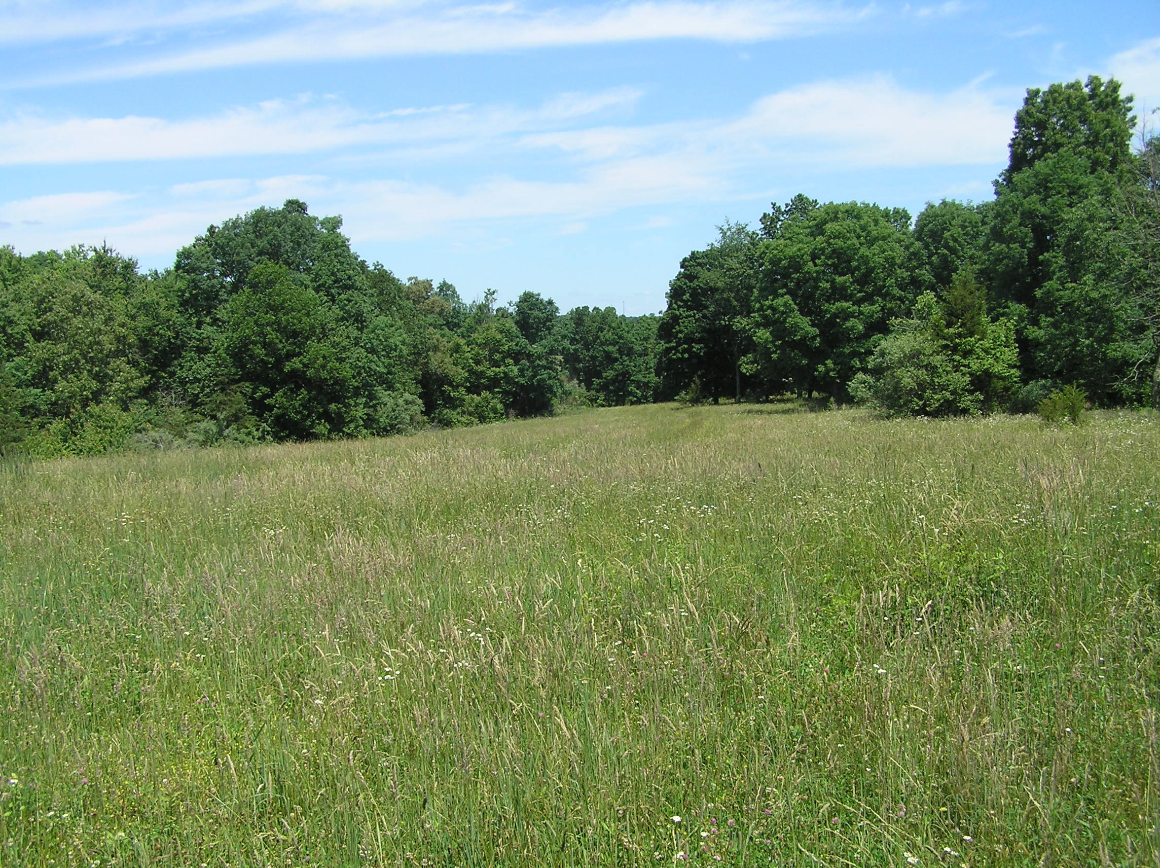 1144 Brockdell Road Spencer, TN 38585 - Photo 8 of 44 Brockdell 15 acres 001