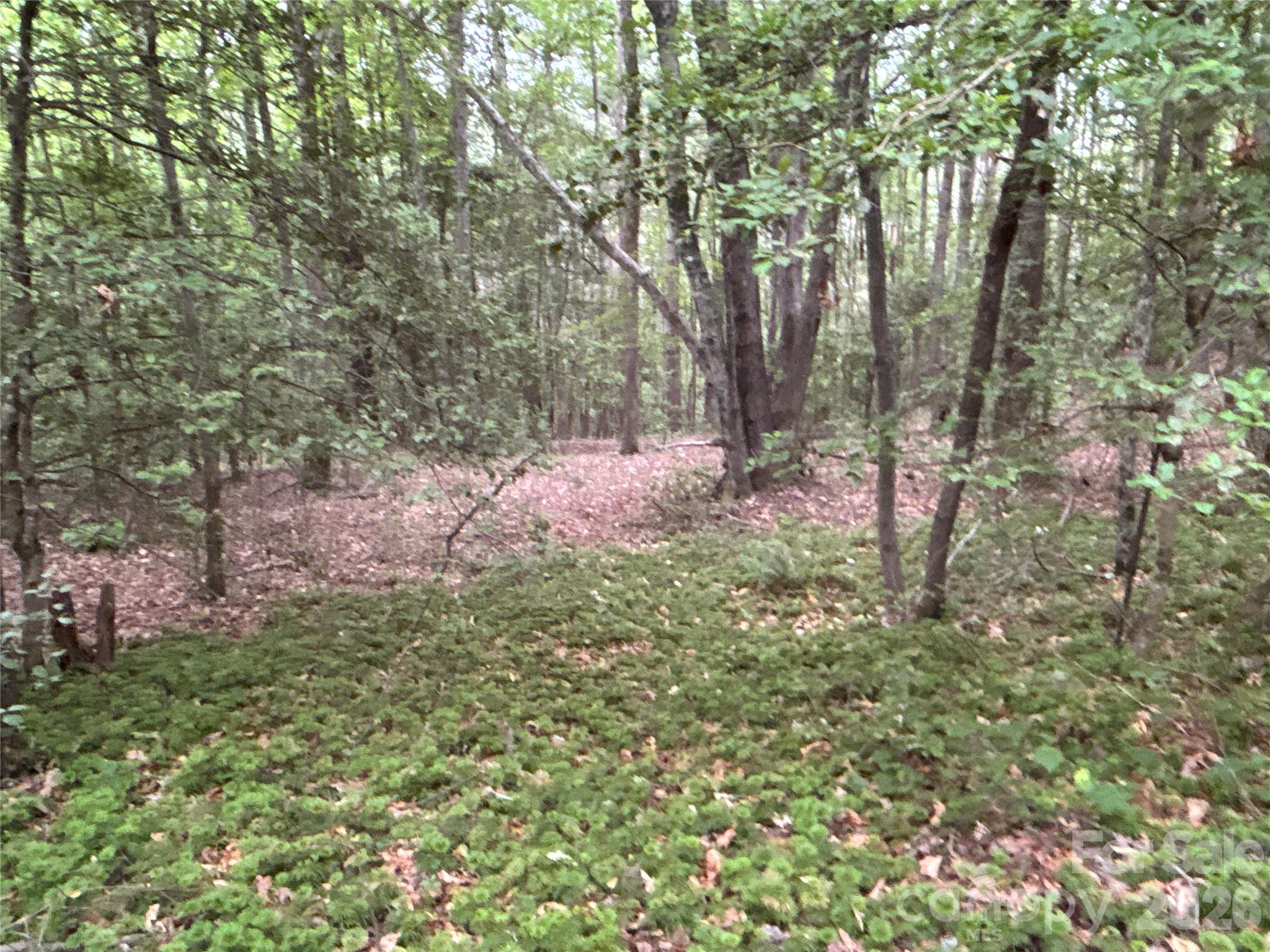 0 J J Thomas Road Morganton, NC 28655 - Photo 5 of 11
