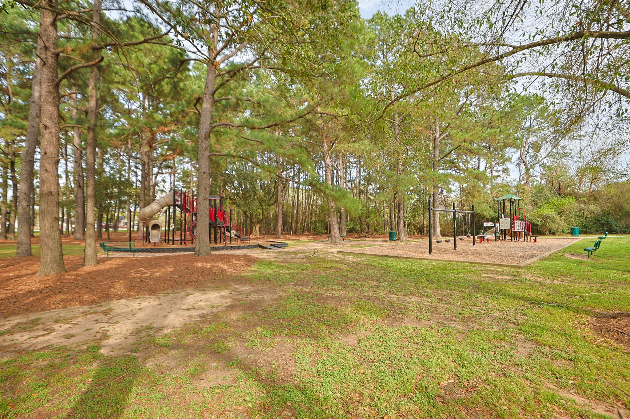 20102 Windbury Court Spring, TX 77379 - Photo 45 of 49 a view of a yard with large trees