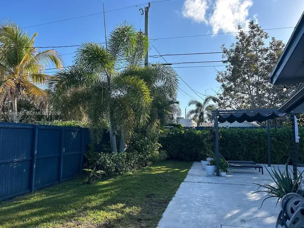 a view of a backyard with potted plants and large trees