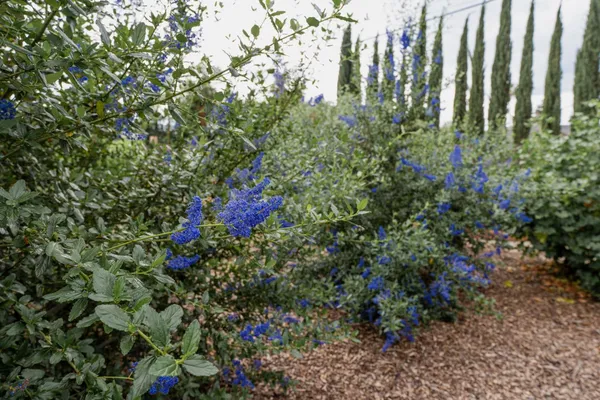 $599,000 | 3409 Mansfield Lane, Modesto, CA 95350