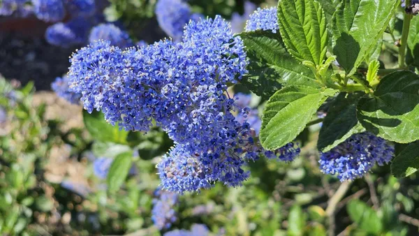 $599,000 | 3409 Mansfield Lane, Modesto, CA 95350