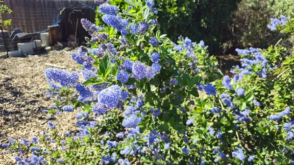 $599,000 | 3409 Mansfield Lane, Modesto, CA 95350