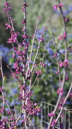 $599,000 | 3409 Mansfield Lane, Modesto, CA 95350