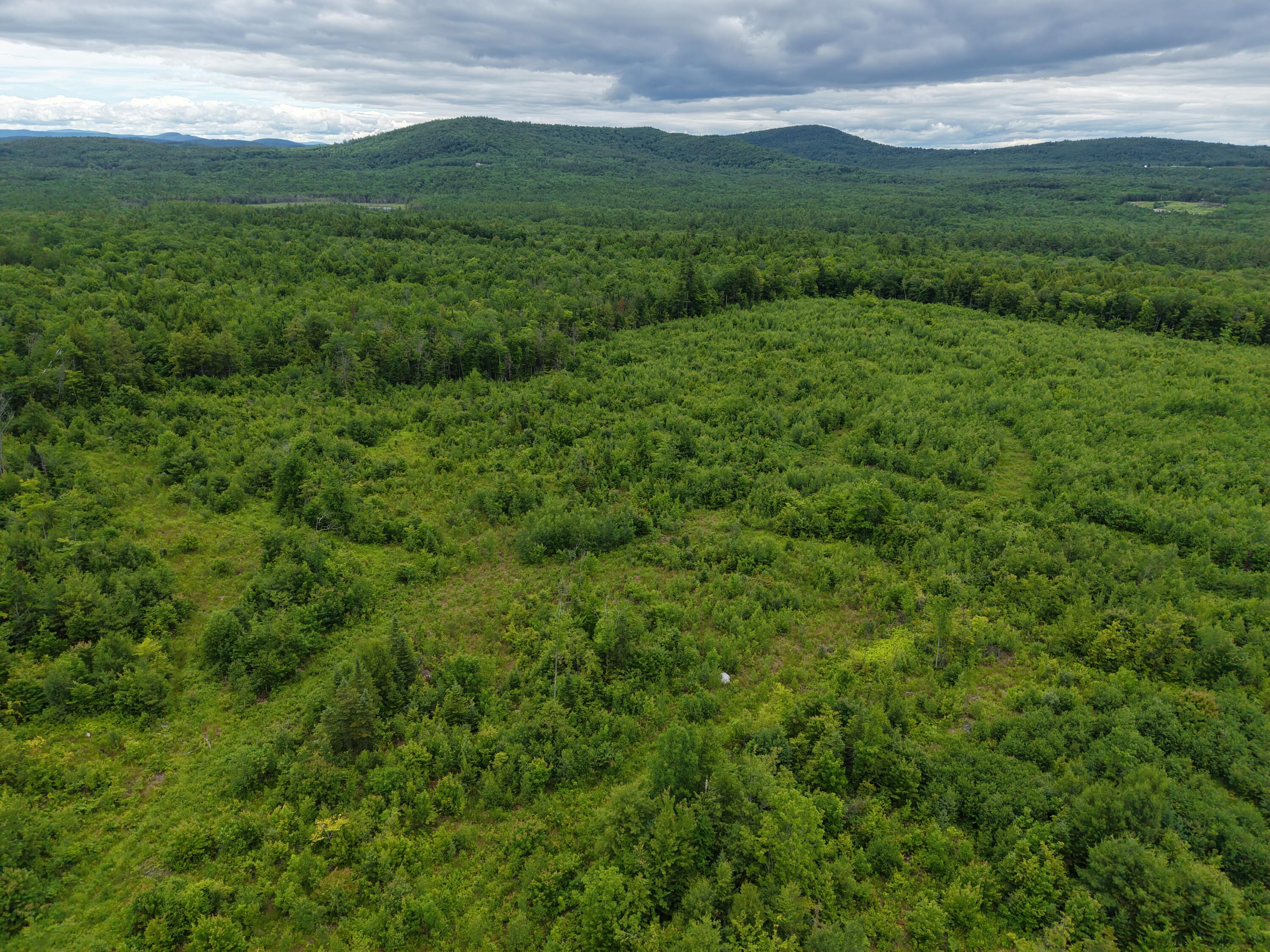 L52 Bridgton Road Harrison, ME 04040 - Photo 3 of 29