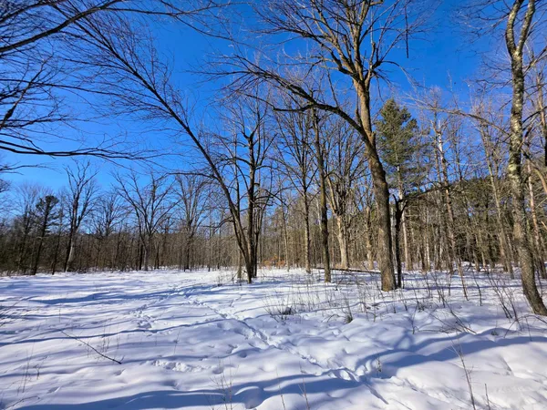 $100,000 | 43 County Road 43, Willow River, MN 55795