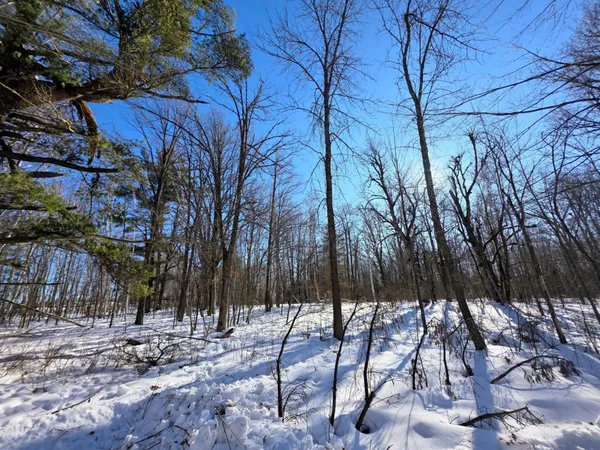 $100,000 | 43 County Road 43, Willow River, MN 55795