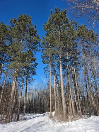 $100,000 | 43 County Road 43, Willow River, MN 55795