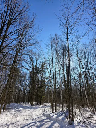 $100,000 | 43 County Road 43, Willow River, MN 55795