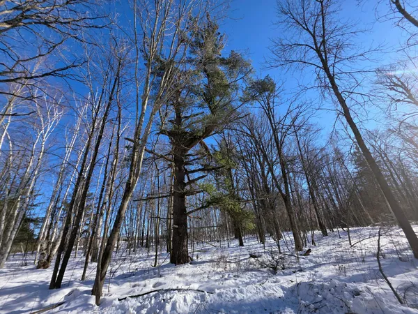 $100,000 | 43 County Road 43, Willow River, MN 55795