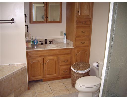 458 Pleasant Valley Road Washington, PA 15301 - Photo 8 of 18 Master Bath/Spa.