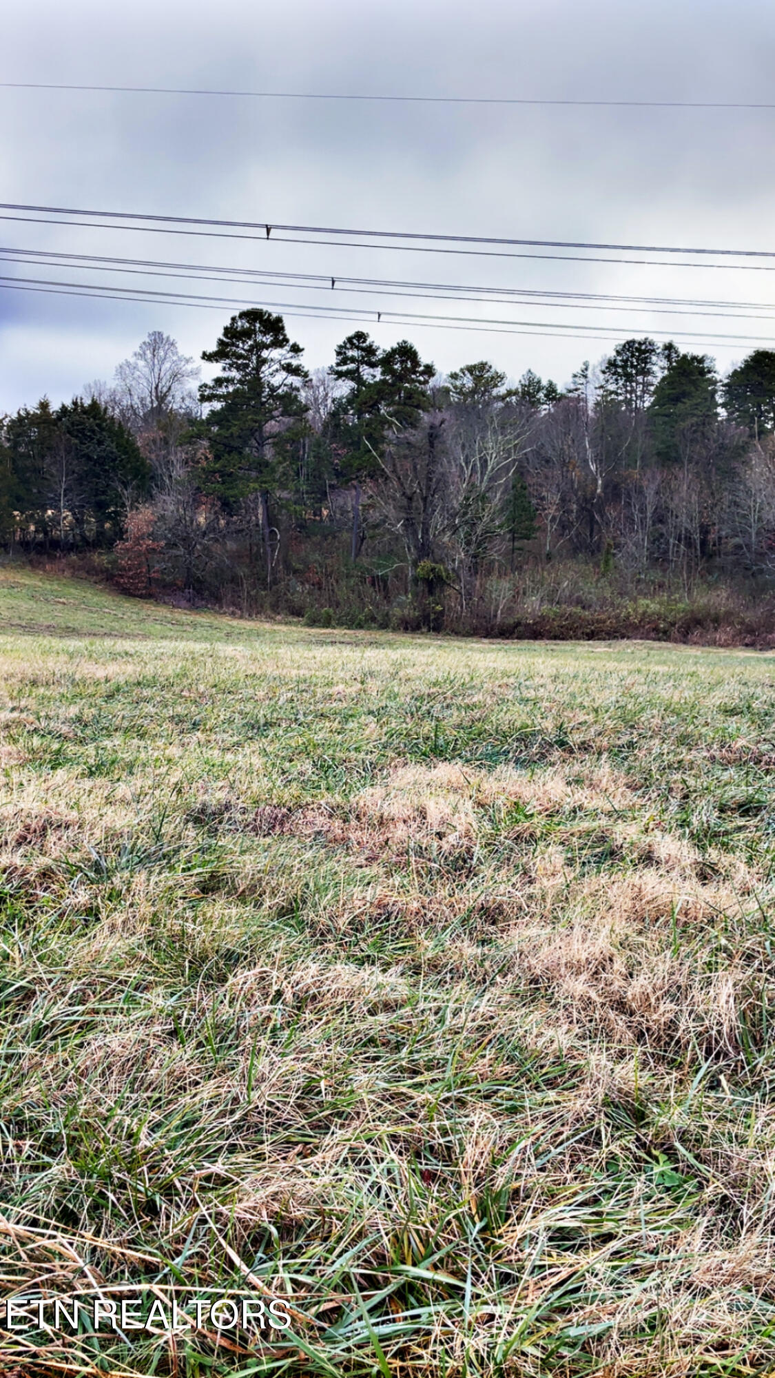 Campbells Point Road Corryton, TN 37721 - Photo 6 of 10 IMG_2419