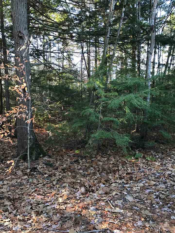 7-24 New Road Barnstead, NH 03225 - Photo 1 of 1