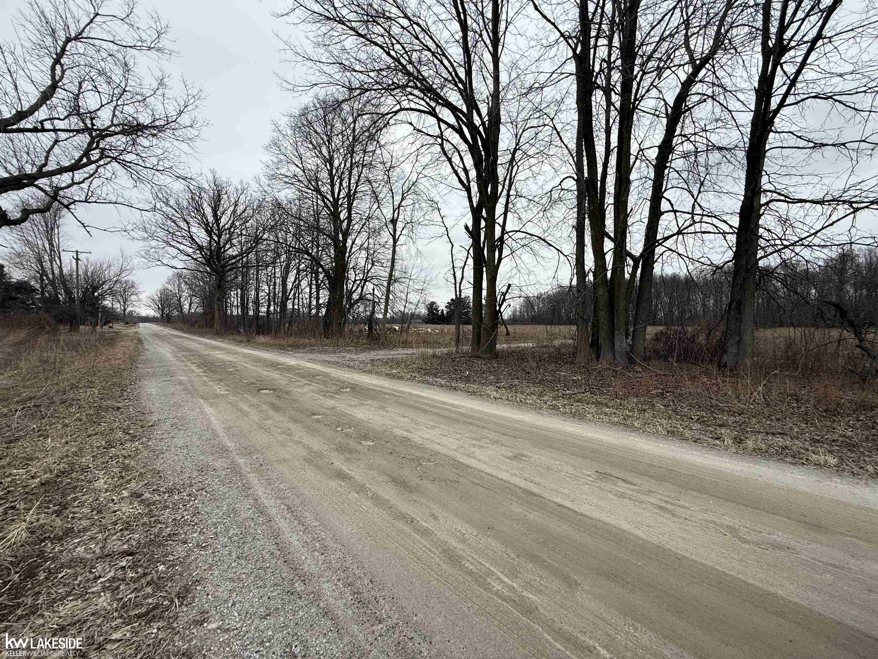 0 Cove Road Goodells, MI 48027 - Photo 1 of 25